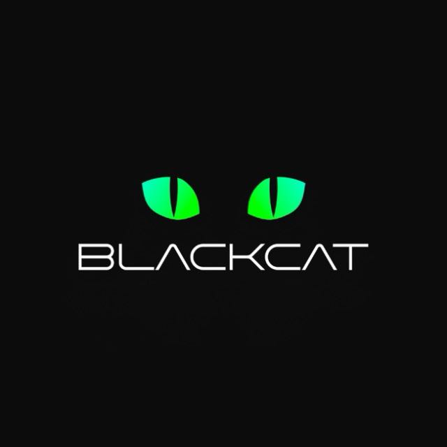 Chat do Pirata - Networking Elite